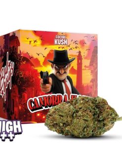 Cocori Kush | CAMORRA HAZE HEC-10