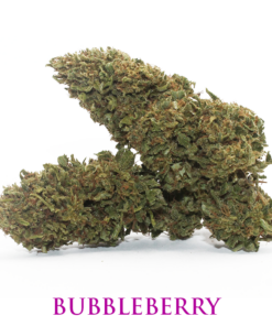 MariaLight® | Bubbleberry – Cannabis Light