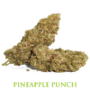 MariaLight® | Pineapple Punch – Cannabis Light