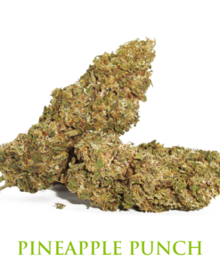 MariaLight® | Pineapple Punch – Cannabis Light