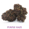 MariaLight® | Purple Haze – Cannabis Light
