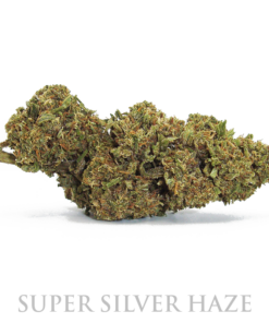 MariaLight® | Super Silver Haze – Cannabis Light