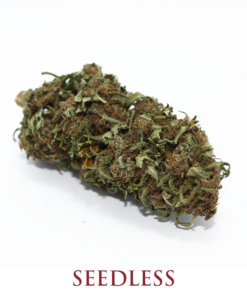 MariaLight® | MariaLight Seedless – Cannabis Light