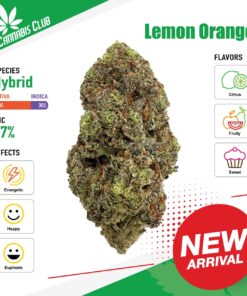 Thai Cannabis Club | Lemon Orange - Cannabis THC Premium