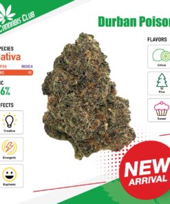 Thai Cannabis Club | Durban Poison - Cannabis THC Premium