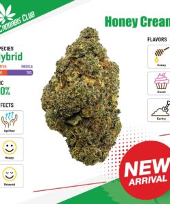 Thai Cannabis Club | Honey Cream - Cannabis THC Premium