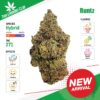 Thai Cannabis Club | Runtz - Cannabis THC Premium
