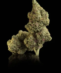 La Canapa Legale | Indoor 5g Hollywood Runtz CBD Indoor