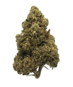 GrennWorldCBD | INDOOR – TOP QUALITY FLOWERS | Amnesia 0,3 100g