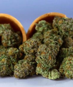 GrennWorldCBD | TOP QUALITY FLOWERS | Greenworld CBD 100g