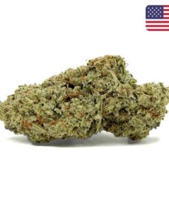 GrennWorldCBD | TOP QUALITY FLOWERS | Red 0D1 0,3 100g