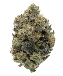 GrennWorldCBD | INDOOR – TOP QUALITY FLOWERS | Girl Scout Cookies 0,3 100g