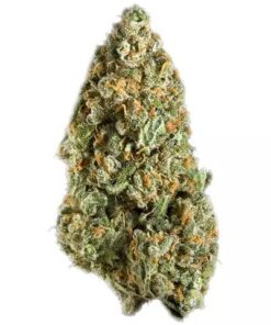 GrennWorldCBD | TOP QUALITY FLOWERS | Mango 0,3 100g