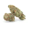 GrennWorldCBD | TOP QUALITY FLOWERS | Orange Bud Medium Buds 0,3 100g