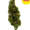 Hempati | Cannatonic | Greenhouse 100g