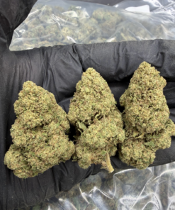 European CBD Wholesaler & Grower | Rainbow Chip | Big Buds Glass House
